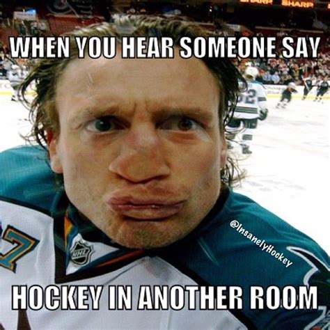 Did Someone Just Say Hockey Hockey Humor Hockey Memes Hockey Mom