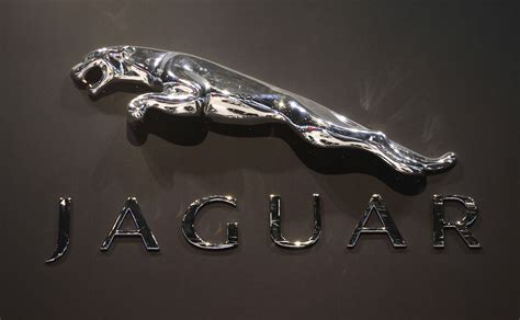 Jaguar Car Logo Hd Wallpapers Top Free Jaguar Car Logo Hd Backgrounds