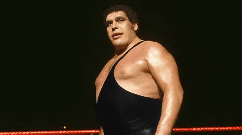 Andre The Giant Sflix