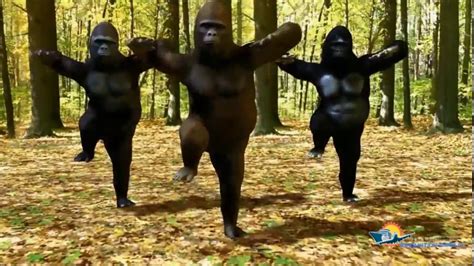 Jimmiki Kamal Song To Gorillas Dance Performance Youtube