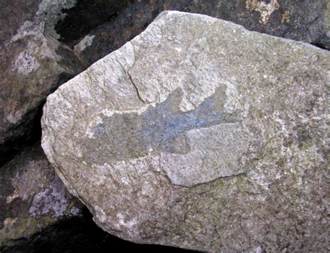 Shetlands Geology Shetland Amenity Trust