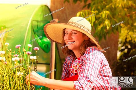 Mature Woman Wearing Big Straw Hat Gardening In Her Backyard Stock