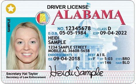 alabama again able to issue driver licenses in person after network outage carunya
