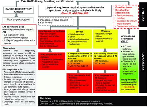 Anaphylaxis Flow Sheet