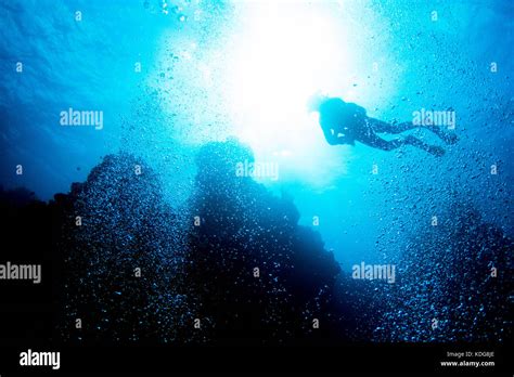 Diving Key Largo Hi Res Stock Photography And Images Alamy