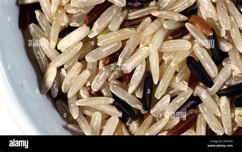 Many Type Of Germinated Brown Rice With Germ Or Embryo Stock Photo Alamy
