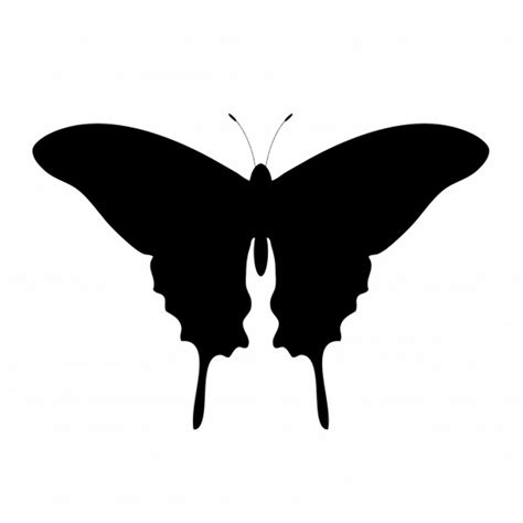 Download High Quality Butterflies Clipart Silhouette Transparent Png