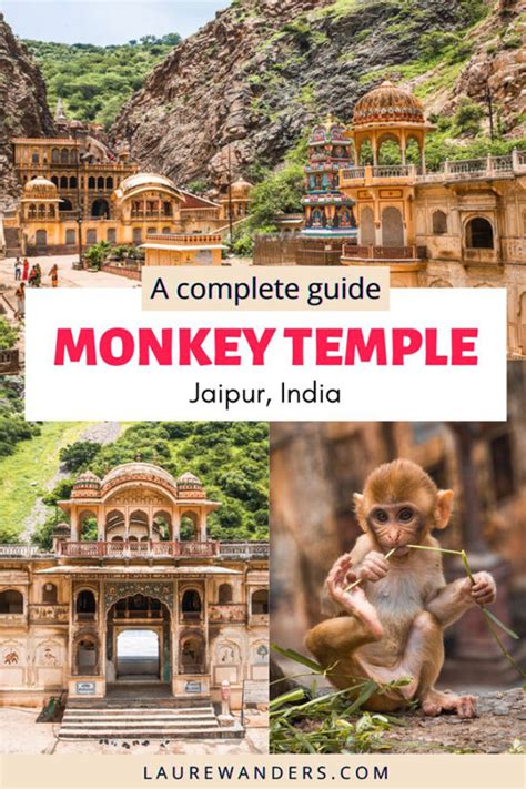 Jaipur Monkey Temple A Complete Guide 2023 Laure Wanders