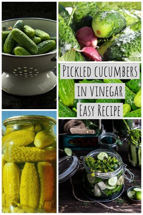 Pickled Cucumbers In Vinegar Easy Recipe The Bossy Kitchen