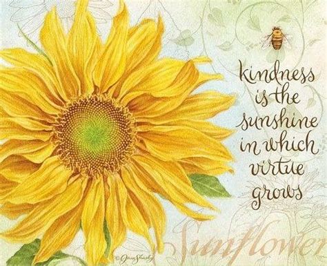Pin By Cindy Abbott On ~love By Jesus~ Flower Quotes Sunflower