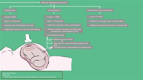 Blog De Evidencias De La Materia De GinecologÍa Y Obstetricia Prueba