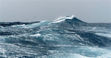 Huge Waves At Sea Environment Agency Should Be Stripped Of Power To