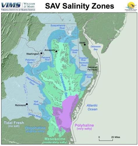 Chesapeake Bay Salinity Map