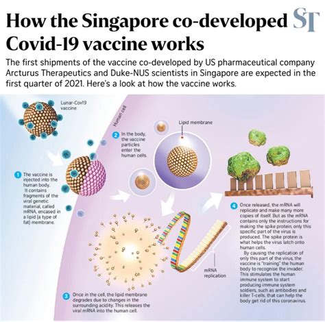 How the covid digital certification will work in singapore. Singapore could have a Covid-19 vaccine by early 2021 ...