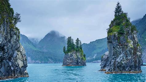 Cove Of Spires In Kenai Fjords National Park Alaska Usa Bing