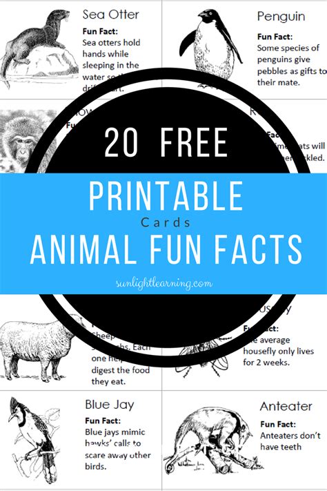 / you can use the dropdown belo. 20 Free Animal Fun Facts Cards from Sunlight Learning | Animal facts for kids, Fun facts about ...