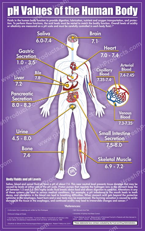 Enjoy a selection of illustrations, sketches, model sheets and tutorials by various artists, collected by character if you like human anatomy chart, you might love these ideas. pH | Molecular Gastronomy Adventure