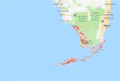 Schalter Blühen Eine Erkältung Bekommen Monroe County Key West Erdbeere