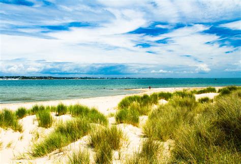 Guide To Studland Beach Isle Of Purbeck Dorset Island Cottage Holidays