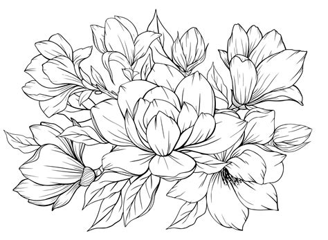Coloring Page With Magnolia And Leaves Vector Page For Coloring