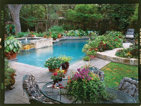 Poolside Container Garden Pool Landscaping Backyard Backyard Pool