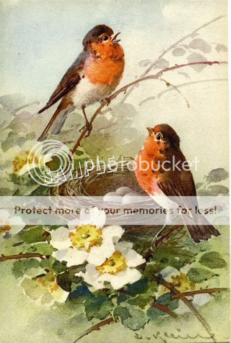 Vintage Robins Bird Flowers Nest Egg Canvas Art Print Ebay