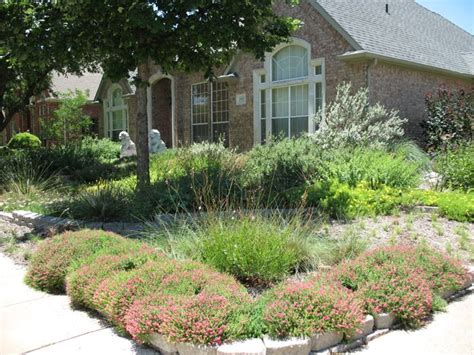 Pin By Liz Strand On Front Yard Xeriscape Ideas Texas Landscaping