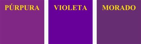 Coletar 88 Imagem Purpura Violeta Vn