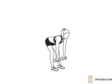 Deadlift Upright Row Illustrated Exercise Guide