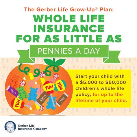 Life Insurance Protection for a Lifetime | Gerber Life ...