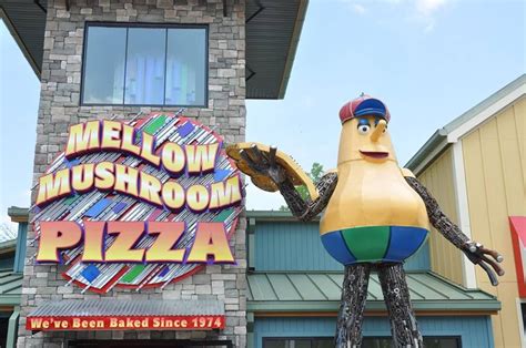 Mellow Mushroom In Pigeon Forge Has The Best Pizza Pigeon Forge
