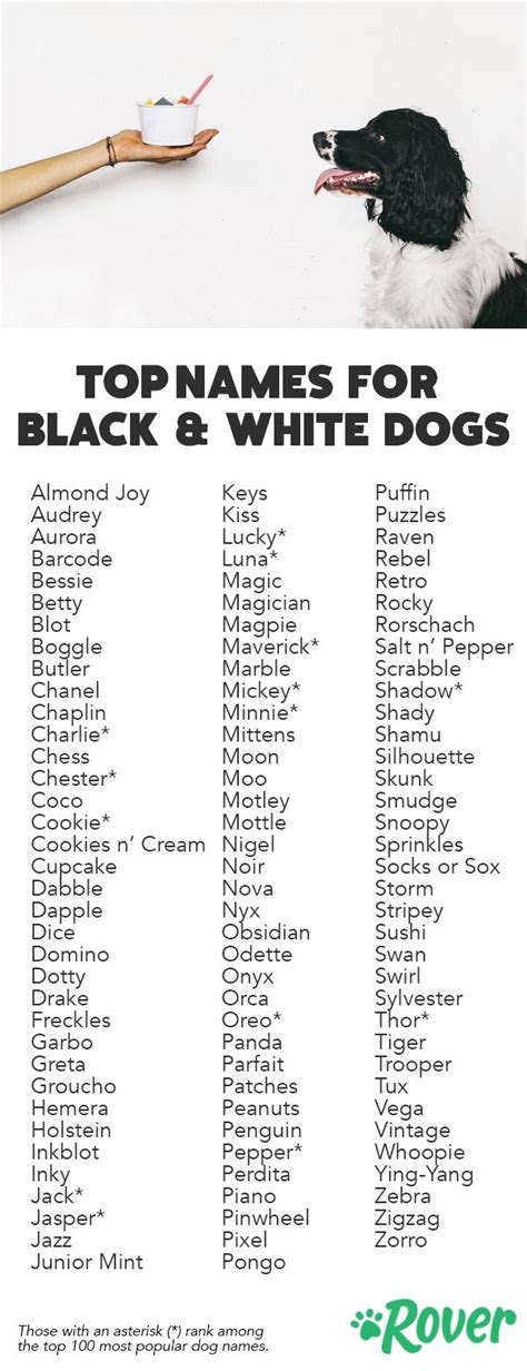 The Top Names For Black And White Dogs Are Shown In This Advertisement
