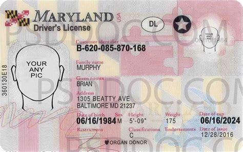 Usa Maryland Driver License Front Back Sides Psd Store