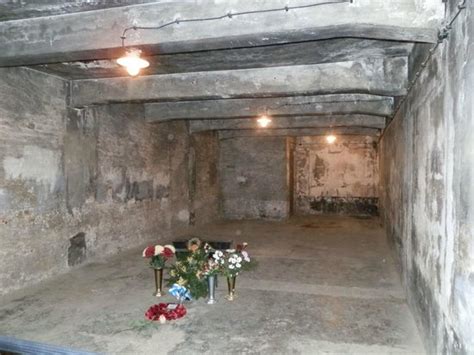 Sightseeing inside auschwitz with local guide lasts 3,5 hours. Gas Chambers. - Picture of PolandTransfer - Tours, Krakow ...