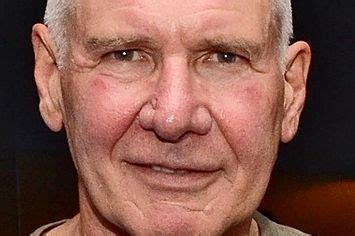 Harrison Ford Has Shaved His Head Harrison Ford Actor John Harrison