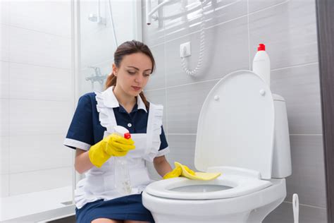 how to keep my toilet sparkling clean my marvelous maids