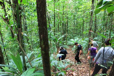 Nicaragua Jungle River Adventure Career Break