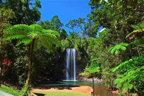 Waterfalls Cairns Natural Paradise