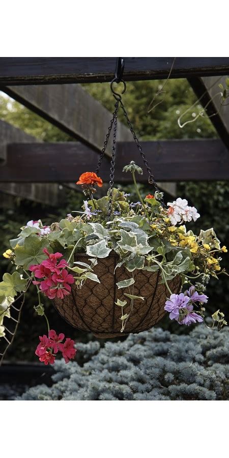 Decorative Hanging Basket Tom Chambers