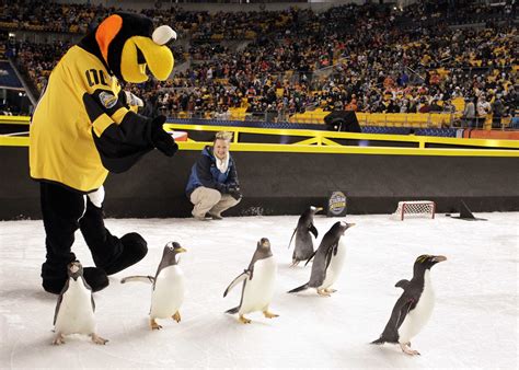 NHL Slammed By PETA for Using Real Penguins | TIME