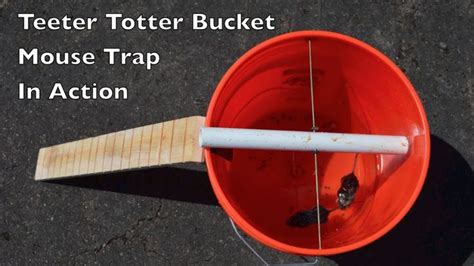 Teeter Totter Bucket Mouse Trap In Action With Motion Cameras