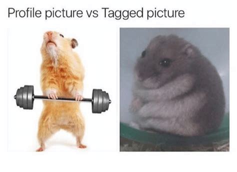 Profile Picture Vs Tagged Picture Dank Meme On Sizzle