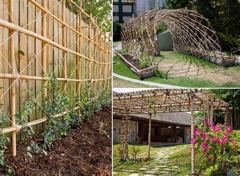 These Are Great Examples Of How You Can Use Bamboo To Build A Trellis
