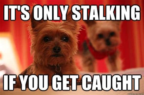 20 Stalking Memes That Will Not Creep You Out
