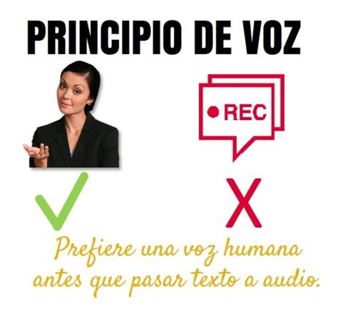 Multimedia Educativa 11 Principio De La Voz