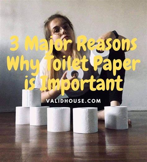 Why Toilet Paper Is Important 3 Major Reasons Validhouse