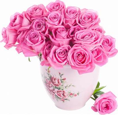Pink Rose Flowers Roses Flower Bouquet Vase