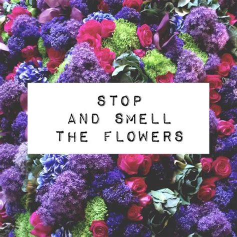 Always take some time to stop and smell the flowers don't hurry past the things that make life beautiful before your life runs down to a few precious hours remember to share life with the people you love there's. Stop and smell the flowers | Love life quotes, Garden quotes, Flowers
