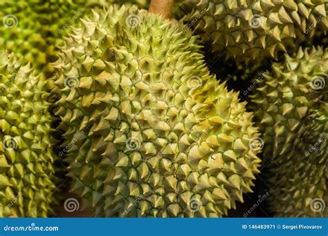 Green Large Spiked Fruit Close Up Strongly Smelly Market Thailand