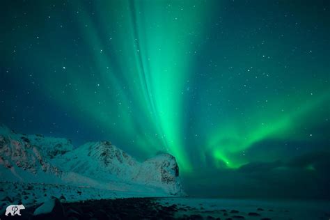 Arctic Aurora Aurora Borealis Northern Lights See The Northern
